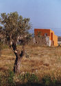 Rural Spain